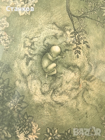 Хармонично, Яна Антонова , снимка 5 - Антикварни и старинни предмети - 52973123