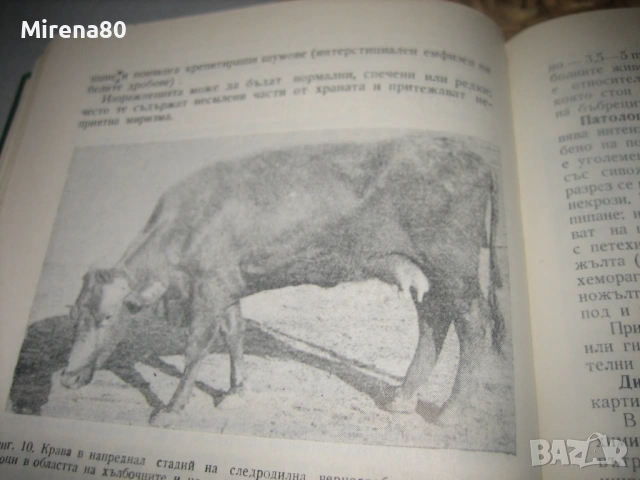 Вътрешни незаразни болести по говедата - 1978 г., снимка 6 - Специализирана литература - 53565849