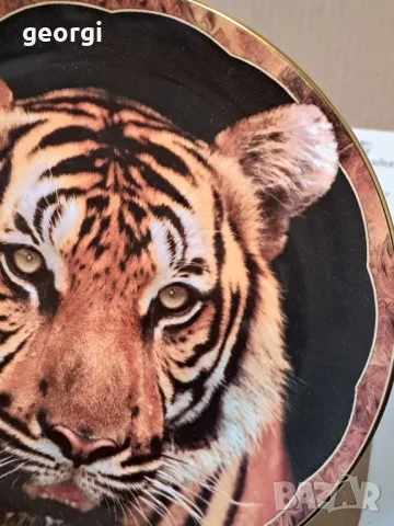 колекционерска порцеланова чиния Тигър Royal Doulton 18/4, снимка 3 - Чинии - 49163069