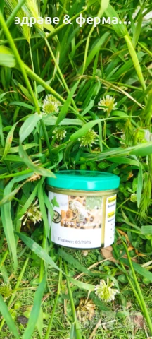 Натурален домашен мехлем от камфор и ментолови кристали за болька и вьзпаление, снимка 1