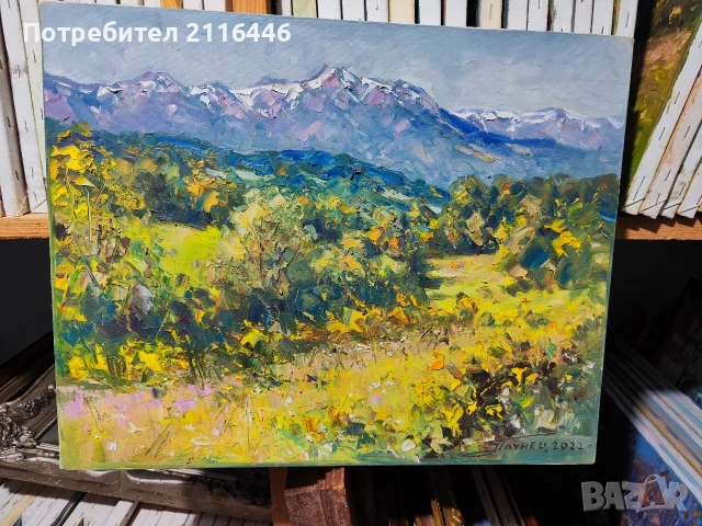 Картини на Георги "Паунец" Паунов - маслени бои, снимка 16 - Картини - 23298495