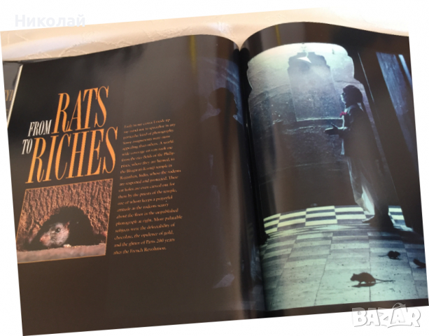 Луксозна книга / албум Eye of the Beholder, National Geographic снимки на James Stanfield, изд. 1998, снимка 9 - Други - 36159760