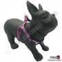 Нагръдник за Куче - Go Get Harness Neoprene - XS, S, M, L - Rosalina - Pet Interest, снимка 2