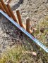 Старинно гребло #4, снимка 7