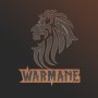 WOW Warmane coins, снимка 1 - Игри за PC - 40143231