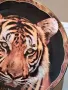 колекционерска порцеланова чиния Тигър Royal Doulton 18/4, снимка 3