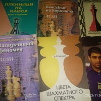 Шахматна литература, снимка 1 - Специализирана литература - 41705044