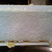 Пчелен мед натурален, снимка 2 - Пчелни продукти - 42547358