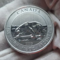Инвестиционна сребърна монета 1 и 1/2 унция 8 Dollars - Elizabeth II Polar Bear, снимка 2 - Нумизматика и бонистика - 41873658