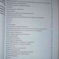 Пъдпъдъкът- Константин Няголов, снимка 2 - Други - 36284537