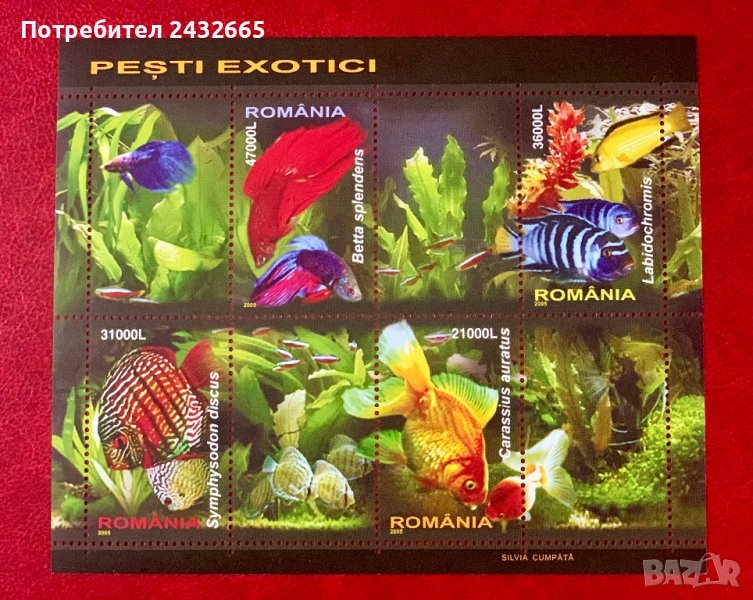 1718. Румъния 2005 ~ “ Фауна. Екзотични риби. “, **, MNH , снимка 1
