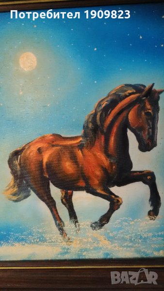 Картина Валентин Янев, снимка 1