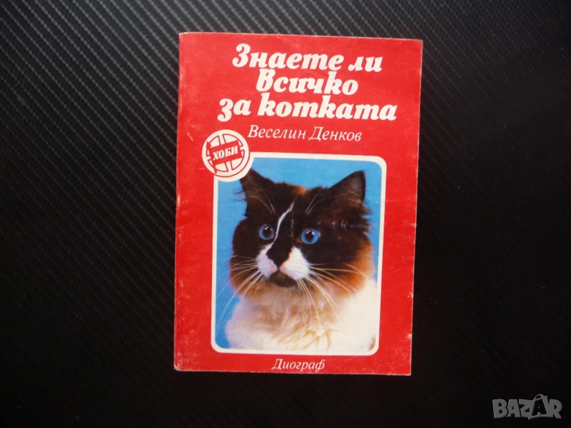 Знаете ли всичко за котката Веселин Денков котета котки мишки домашни любимци храна грижи, снимка 1