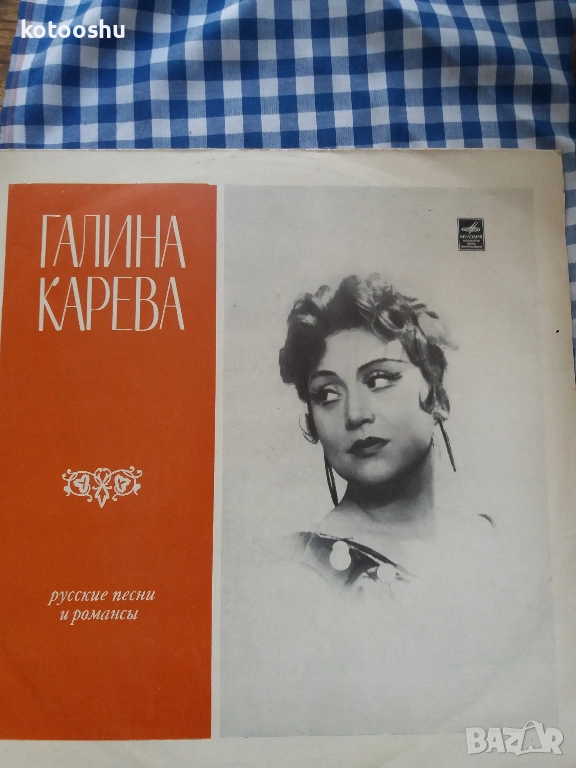 Плоча Галина Карева, снимка 1