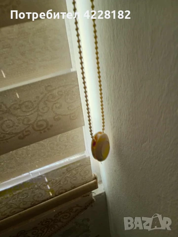 Бели щорита, снимка 6 - Щори - 51290215