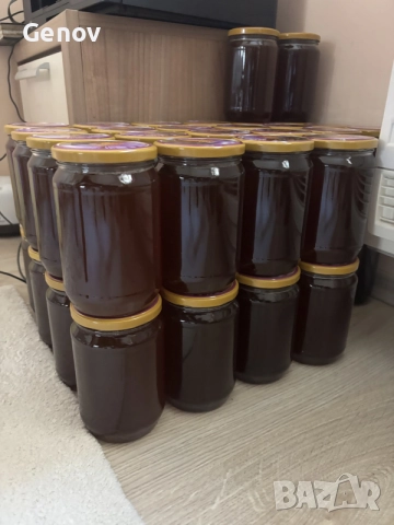 Билков мед от планински регион, снимка 2 - Пчелни продукти - 56114976