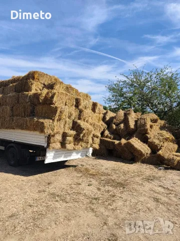 Продавам бали 100 бр. по 2 е, снимка 2 - За селскостопански - 56392195