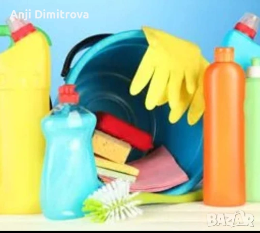 Домашна помощница с опит