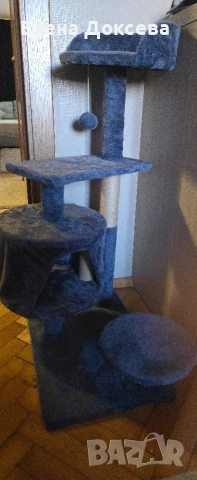 котешка катерушка, снимка 2 - За котки - 53522041