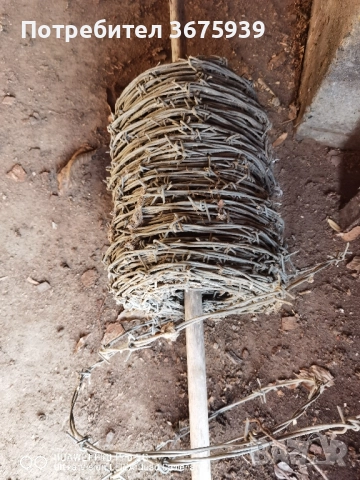 бодлива тел топче