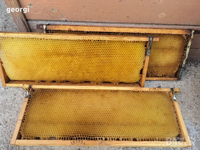 изградени пчелни магазинни пити ДБ и Фарар, снимка 2 - За пчели - 50443208