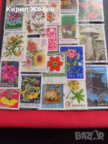 Пощенски марки смесени ЦВЕТЯ от цял свят перфектно състояние за КОЛЕКЦИЯ 22632, снимка 10 - Филателия - 40364561