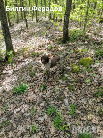 Лагото Романьоло , снимка 4 - Други - 52565724