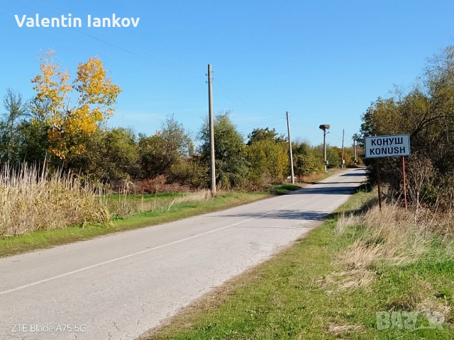 Земеделска земя трета категория в с. Конуш, снимка 3 - Земеделска земя - 52256960