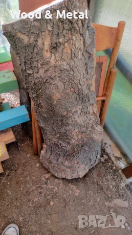 явор талпа ян, снимка 3 - Други - 50593907