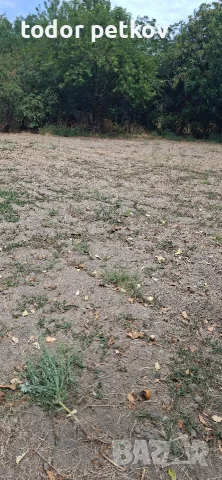Дворно място в село Манолско Конаре , снимка 5 - Парцели - 56149259