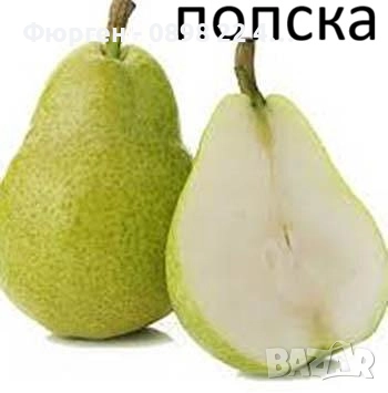   Круши – Подбрани сортове за истински ценители, снимка 5 - Разсади - 52743824