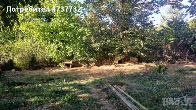 Продава се къща с дворно място, снимка 2 - Къщи - 53477219