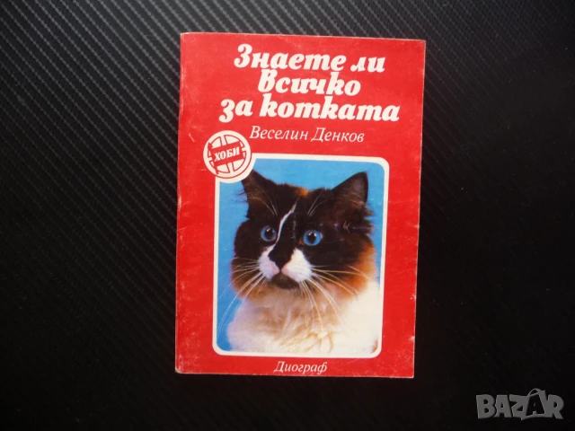 Знаете ли всичко за котката Веселин Денков котета котки мишки домашни любимци храна грижи