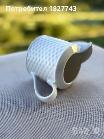 Баварско бижу каничка- Bavaria Mitterteich Germany, снимка 5 - Сервизи - 50557395