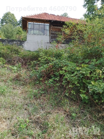 Парцел в рамките на село Кладни дял, община Велико Търново