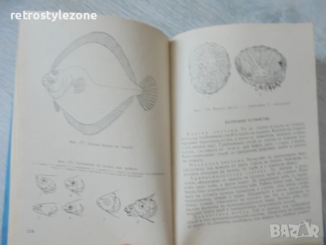 № 8158 Наръчник на ловеца и риболовеца – Земиздат, 1974 г. , снимка 5 - Енциклопедии, справочници - 51133294