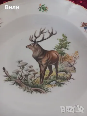 Прекрасни чинии с декорация от диви животни , снимка 8 - Чинии - 49293186
