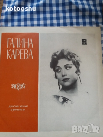 Плоча Галина Карева