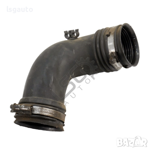 Тръба въздух Renault Scenic II 2004-2009 ID: 123076