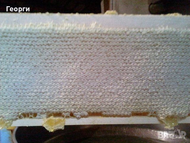 Пчелен мед натурален, снимка 2 - Пчелни продукти - 42547358