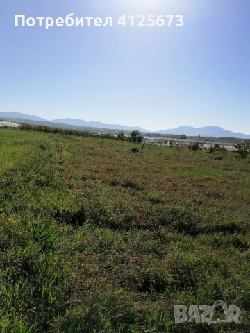 Продава къща и земеделска земя, снимка 13 - Къщи - 52563756