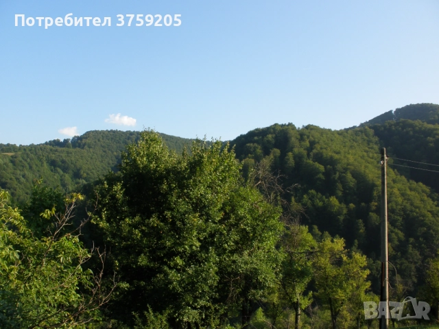 Продавам парцел в с.Рибариба, снимка 6 - Парцели - 52266031