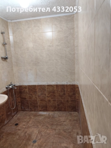 Стая под наем, снимка 5 - Стаи под наем - 52925276