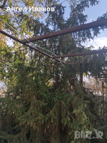      Продавам къща с голям двор в тихото и живописно  с. Осеново, на 20 мин. от Варна, снимка 4 - Къщи - 52625085