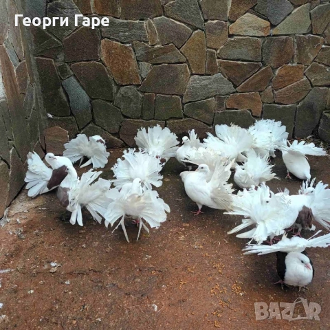 Продавам фенерлии