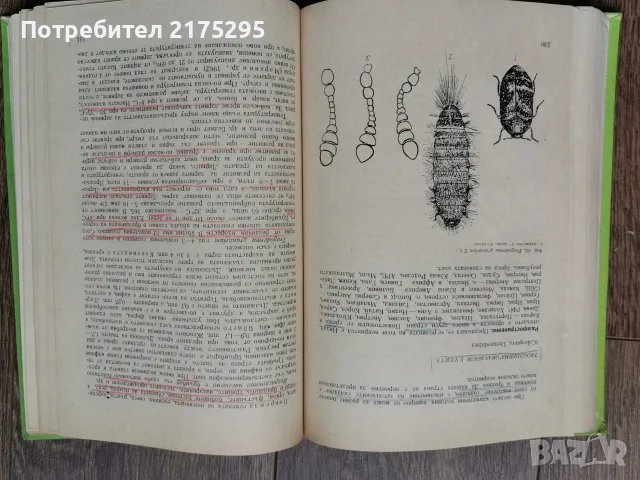 Карантина на растенията-Земиздат 1974г., снимка 11 - Учебници, учебни тетрадки - 56225071