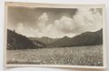 Стара черно-бяла картичка Тетевен Рибарица 1948, снимка 1 - Филателия - 44142798