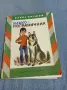 Борис Крумов - Илко - граничар, снимка 1
