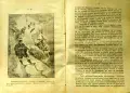 Младъ читатель. Кн. 1-2 / 1919, снимка 3