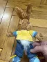 Плюшена играчка заек - Рекламна Нескуик, снимка 4